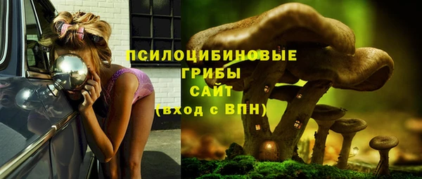 мдпв Армянск